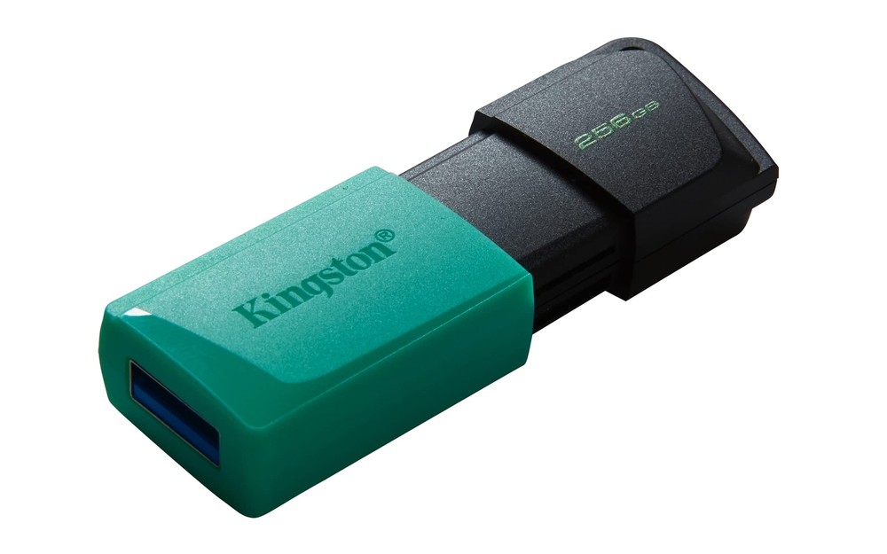 Kingston Data Traverler