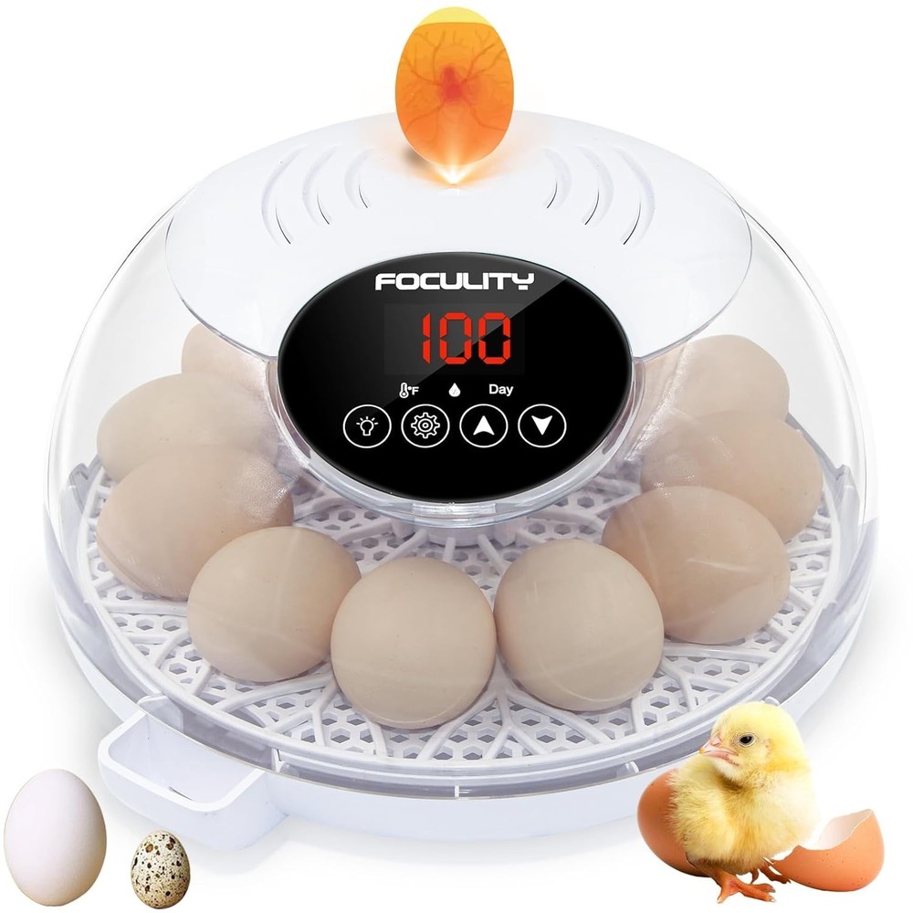Egg Incubator for Hatching Chicks, Holds 12 Eggs, Automatic Egg Turner with Temp