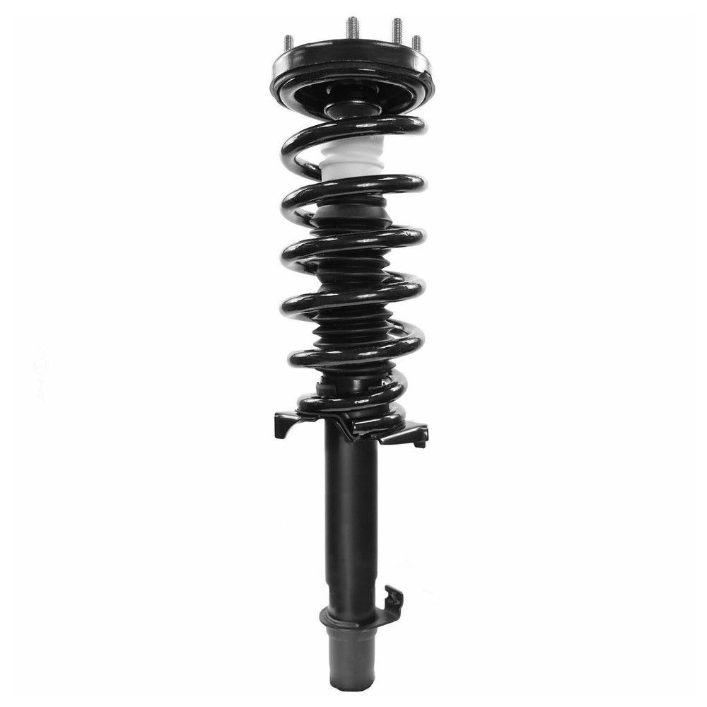 Front Left Right Side Struts w/ Coil Spring Assembly for 2009 - 2012 Acura TSX