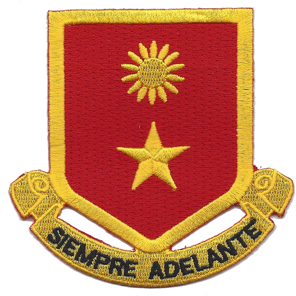 311th Cavalry Regiment Patch