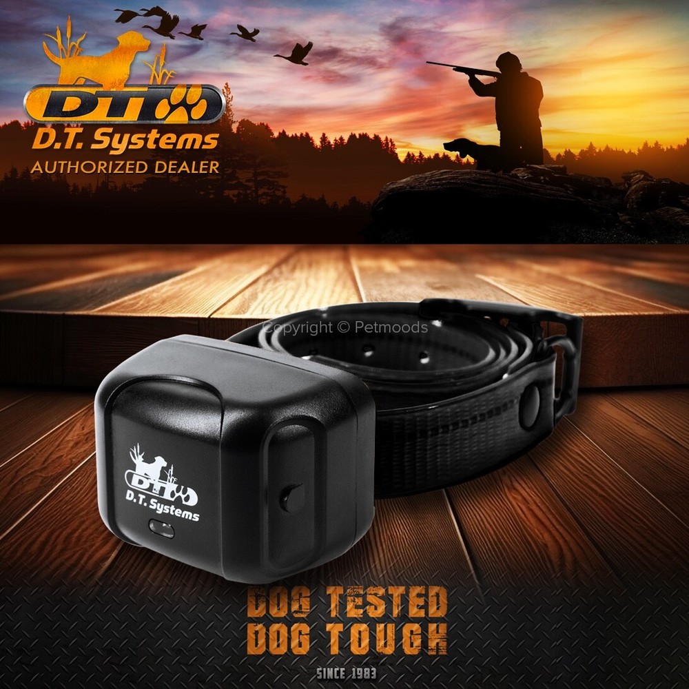 DT Systems Rapid Access Pro Trainer RAPT 1400