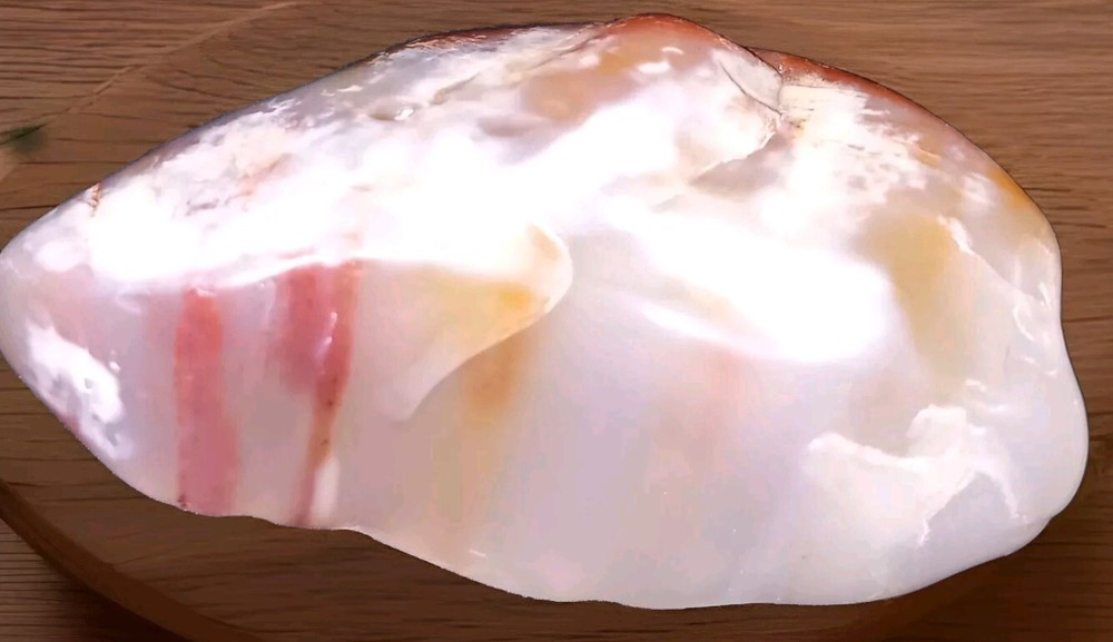 Beautiful Polished Translucent Petrified Wood