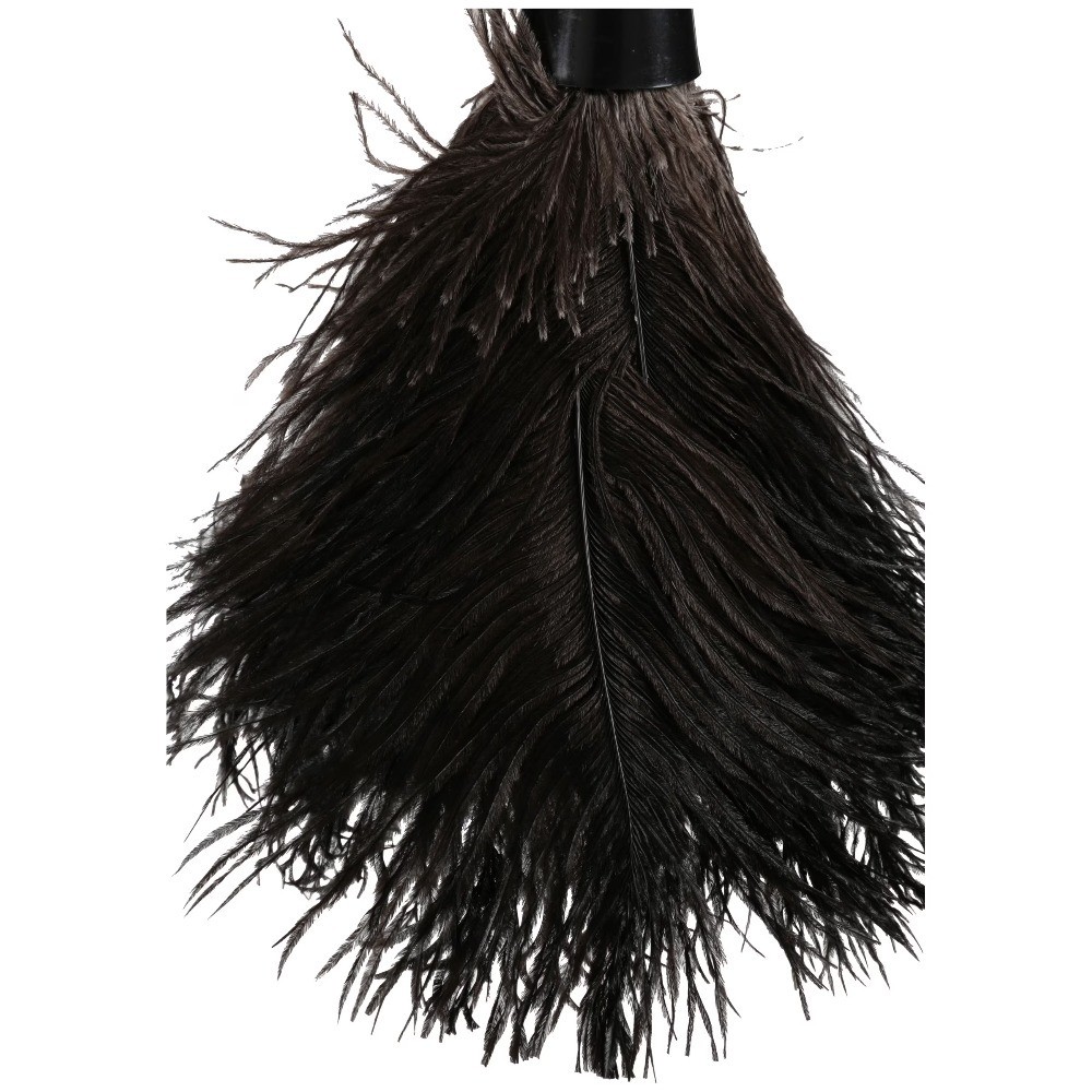 Extra Long Handle Ostrich Feather Duster for High Ceiling and Delicate Surface