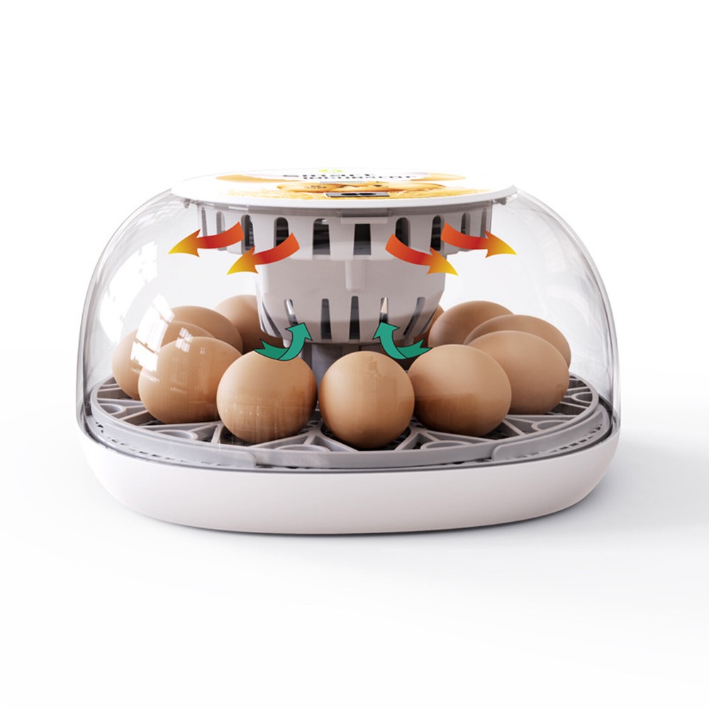 Incubators for Hatching Eggs 12 Eggs with Automatic & Humidity Control