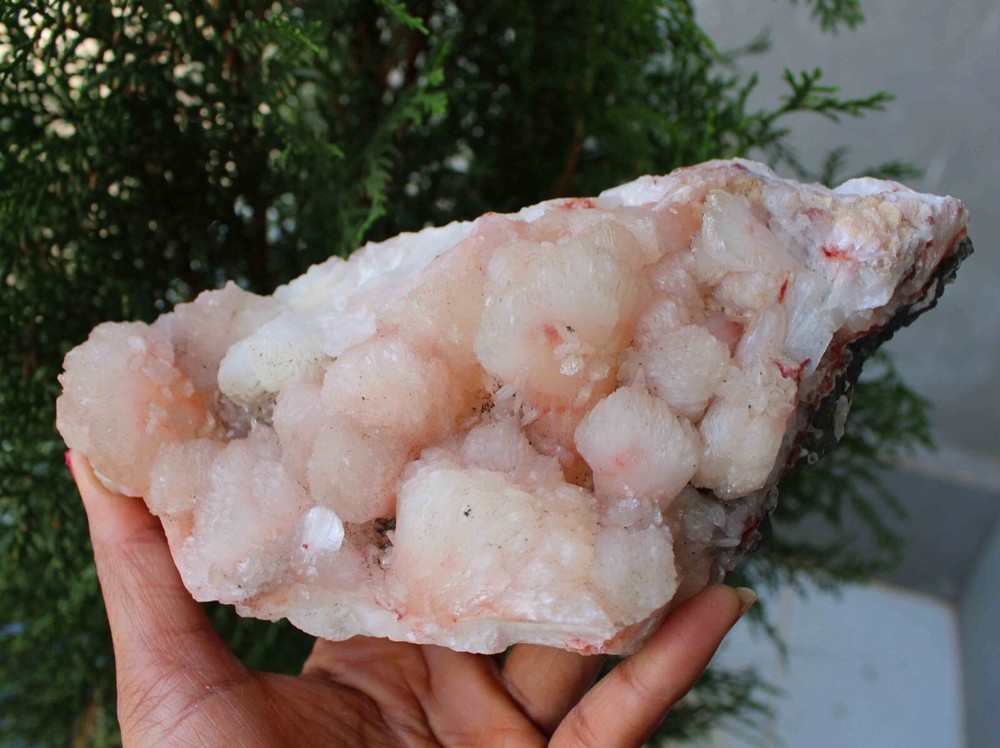 Stilbite On Matrix Minerals Specimen #M19