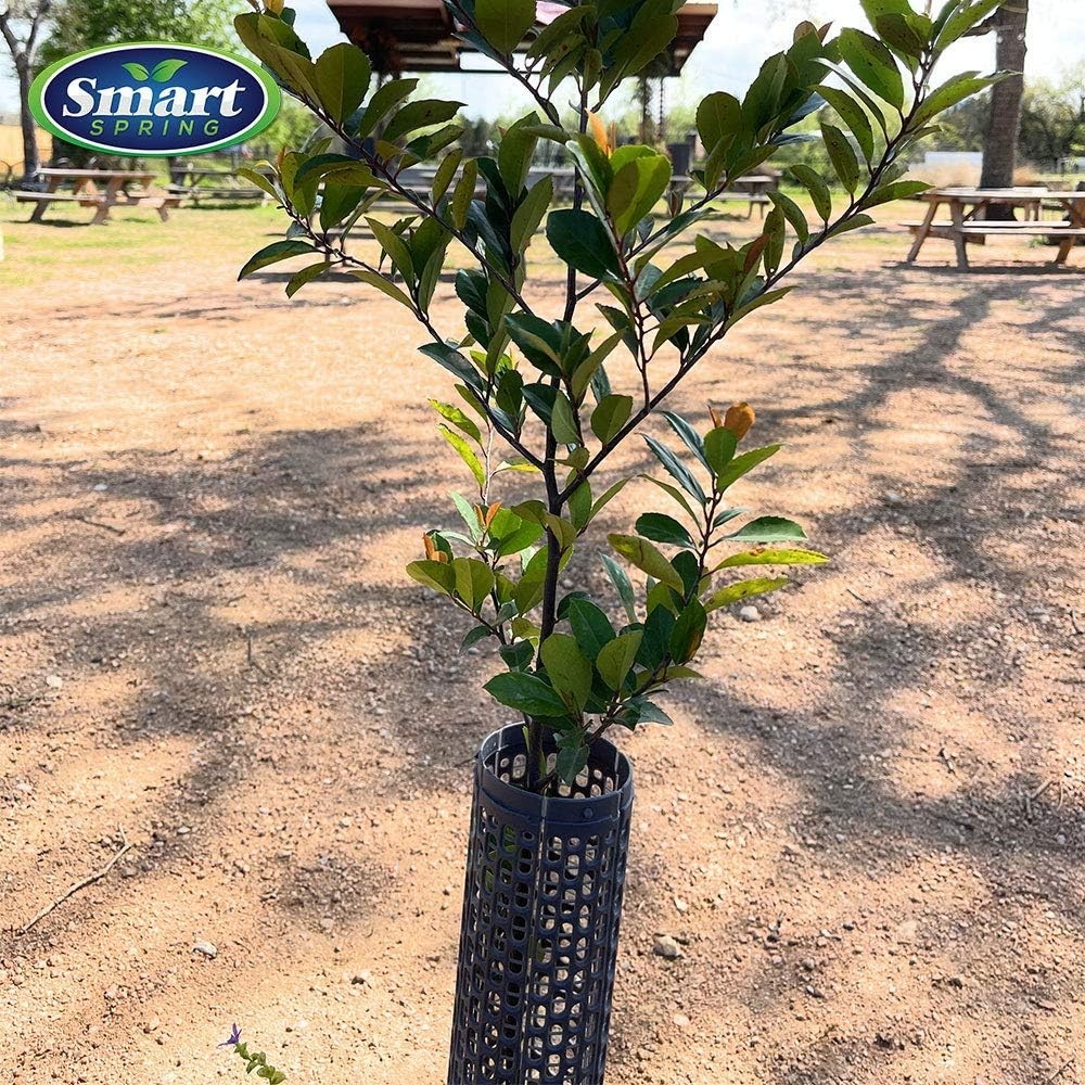 15" Stackable Spiral Tree Guards, Bark Protection - Set of 6
