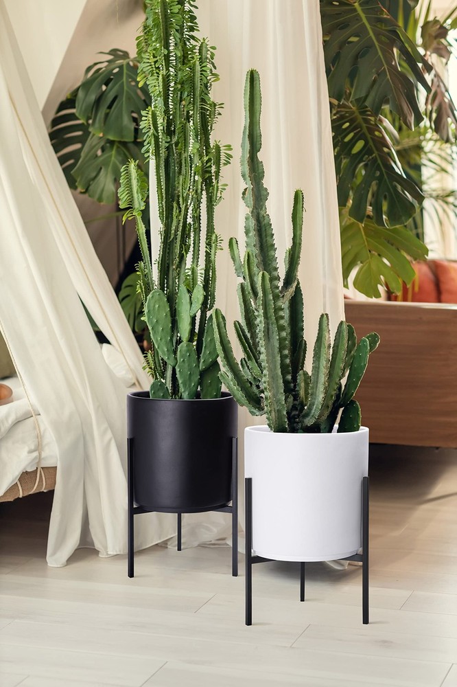 D'vine Dev Modern Black Plants Pot Cylinder Planter Medium 10 Inch,