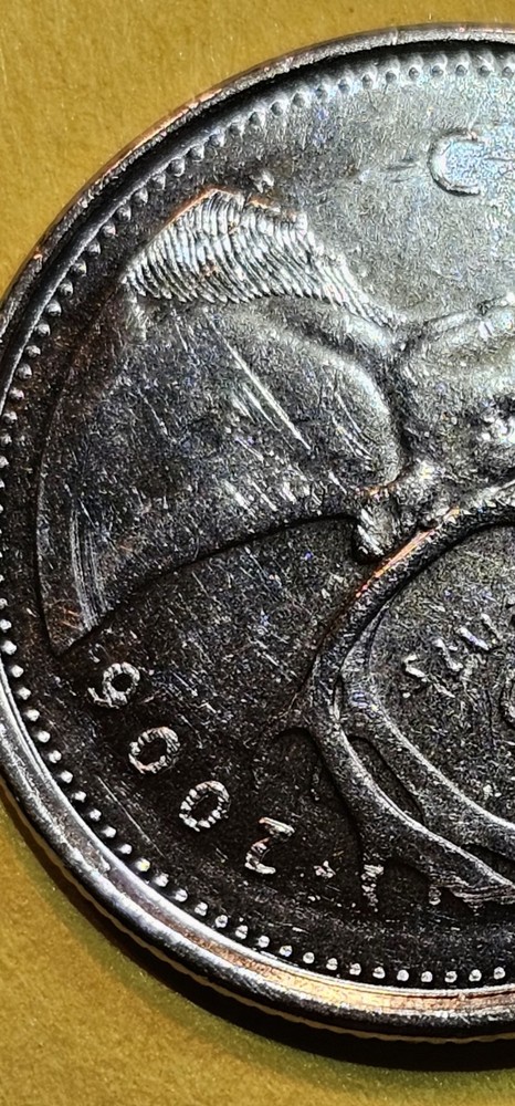 2006P Canada Quarter Dollar With Errors!
