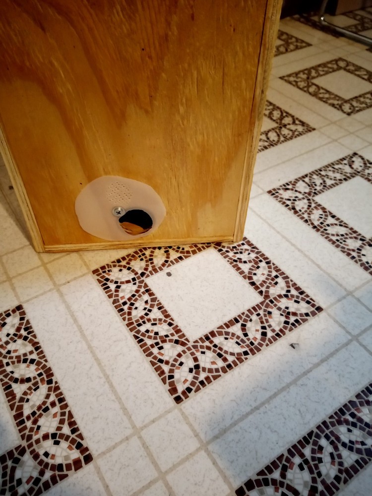 HONEYBEE SWARM TRAP BOX WITH FRAMES