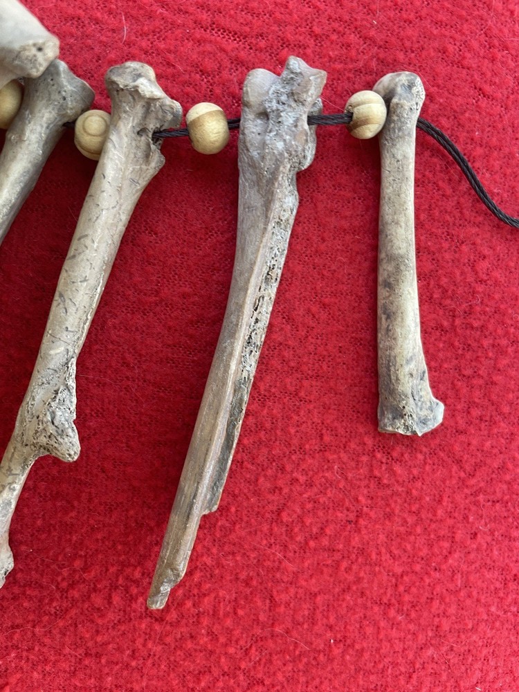 Extraordinary Old Aztec Xoloitzuintle Bone Shaman’s Necklace
