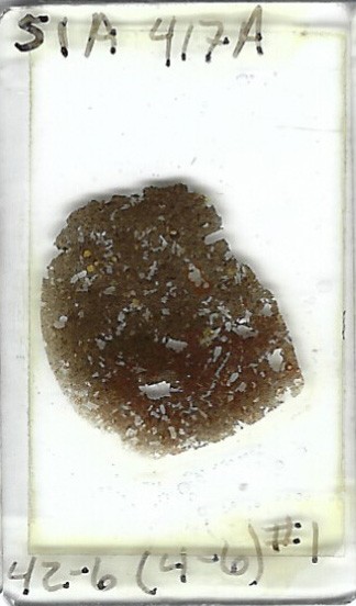 Thin-section Mount from DSDP Hole 417A Petrographic Microscope Slide 417A-42-6