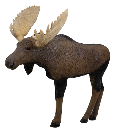 Rinehart 1/3 Scale Woodland Moose Target