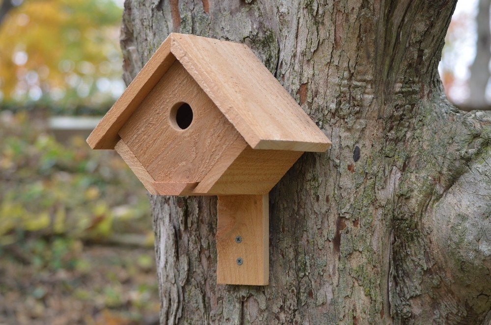 Cedar Wren House - Wall Mount