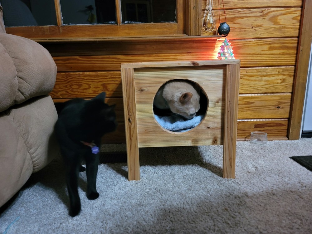 Hand Made Cedar Cat Bougie Condo Bed