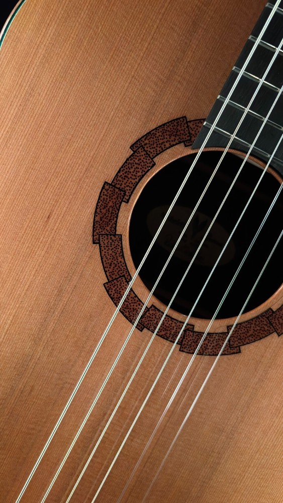 2017 Rick Micheletti "Baritone" nylon string guitar #1703