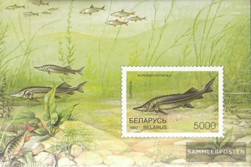Belarus block15 MNH 1997 Fish