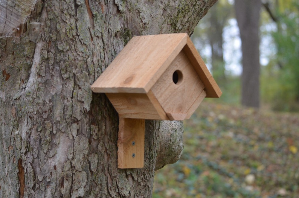 Cedar Wren House - Wall Mount