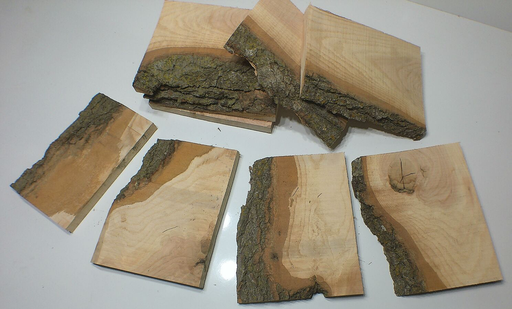 5 Oak Live Edge Drop Slabs Milled Kiln Dried Bundle Value Pack SHIPs FREE