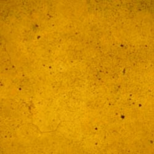 Ten Second Color - Montana Wheat - 1 Gallon