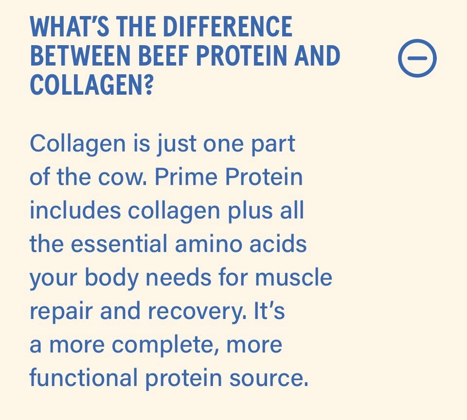 Equip Protein Powder Chocolate