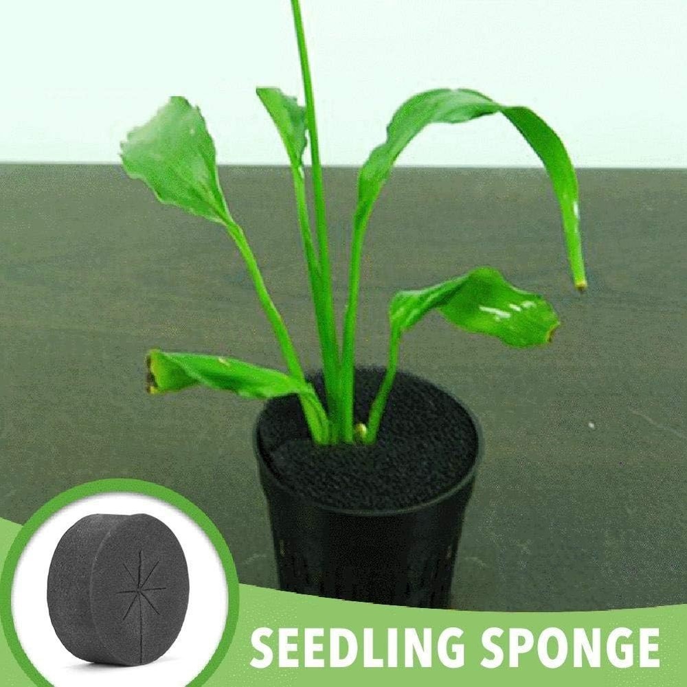 48mm Plant Cloning Collars - Durable Sponge Inserts for 2 Inch Net Cups, 30pcs