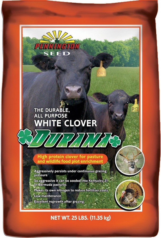 Pennington Durana White Clover Seed -  25 Lbs
