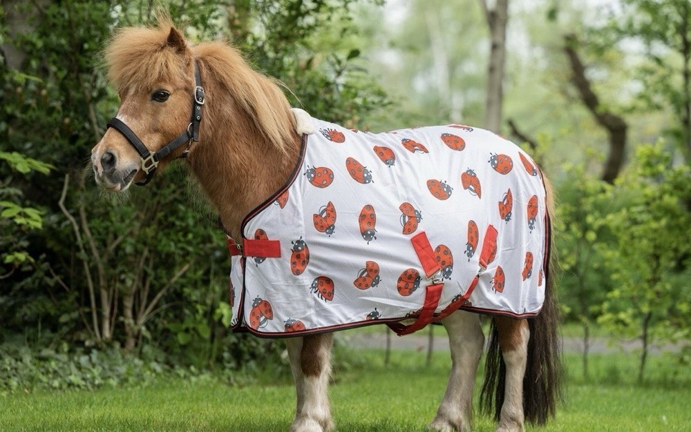 HKM Fly rug -Ladybug 105 CM