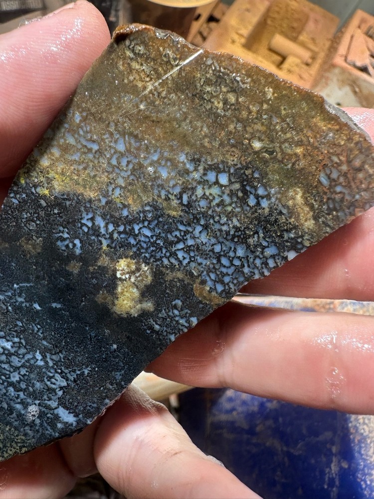 Dinosaur bone rough slab.