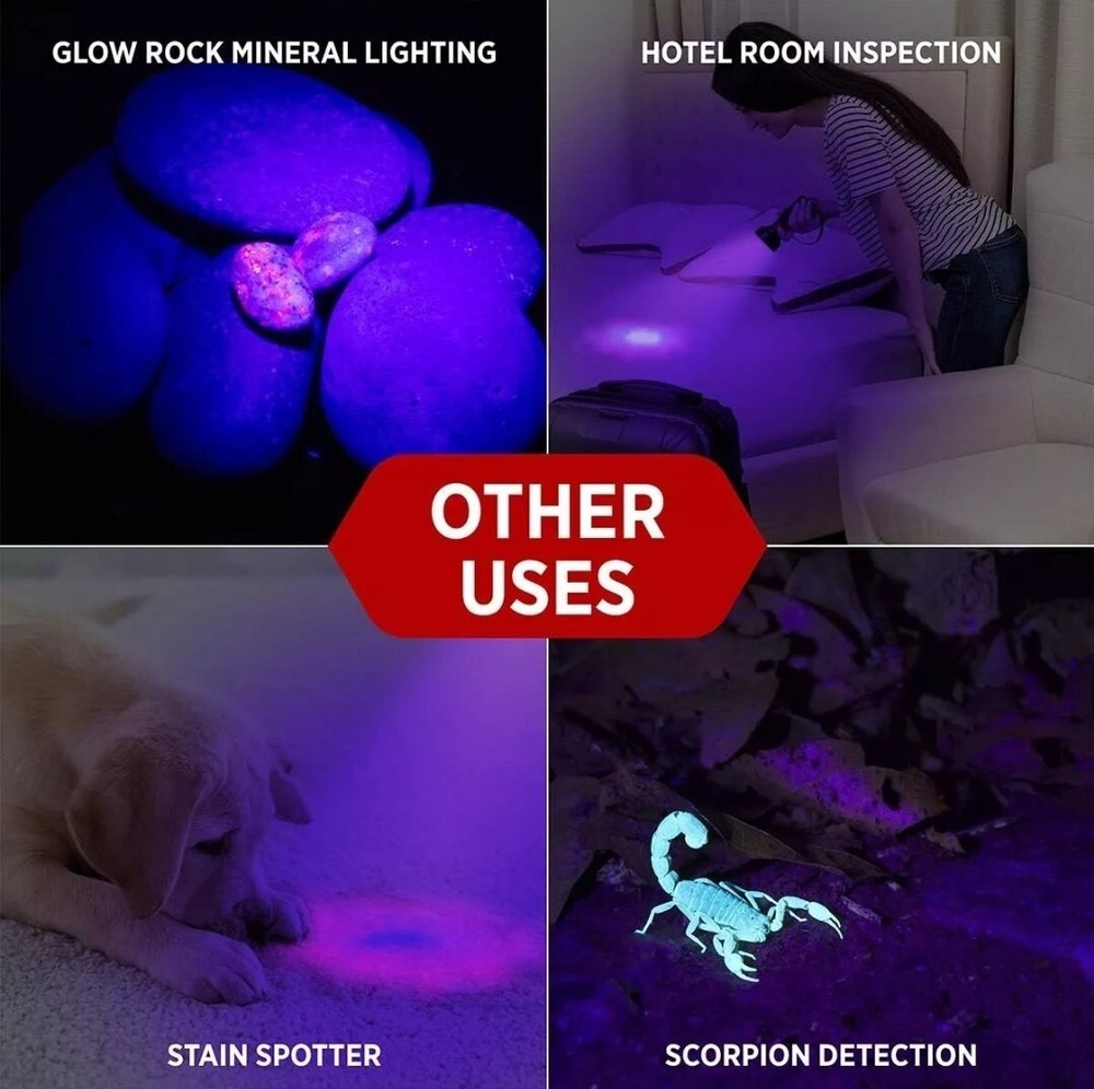 GearLight UV Flashlight Black Light from 68 LED Blacklight