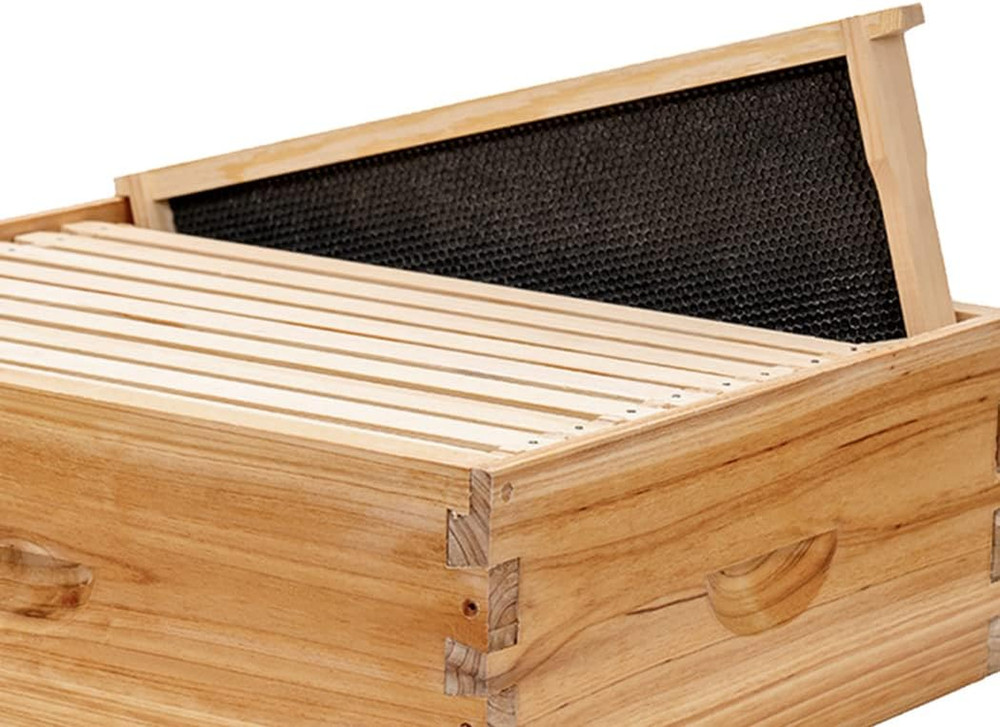 Medium Super Beehive Frames with Wax Foundations,10 Pack Honey Bee Frames with 1