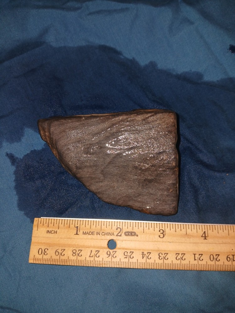 6.7 oz Agatized Petrified Wood