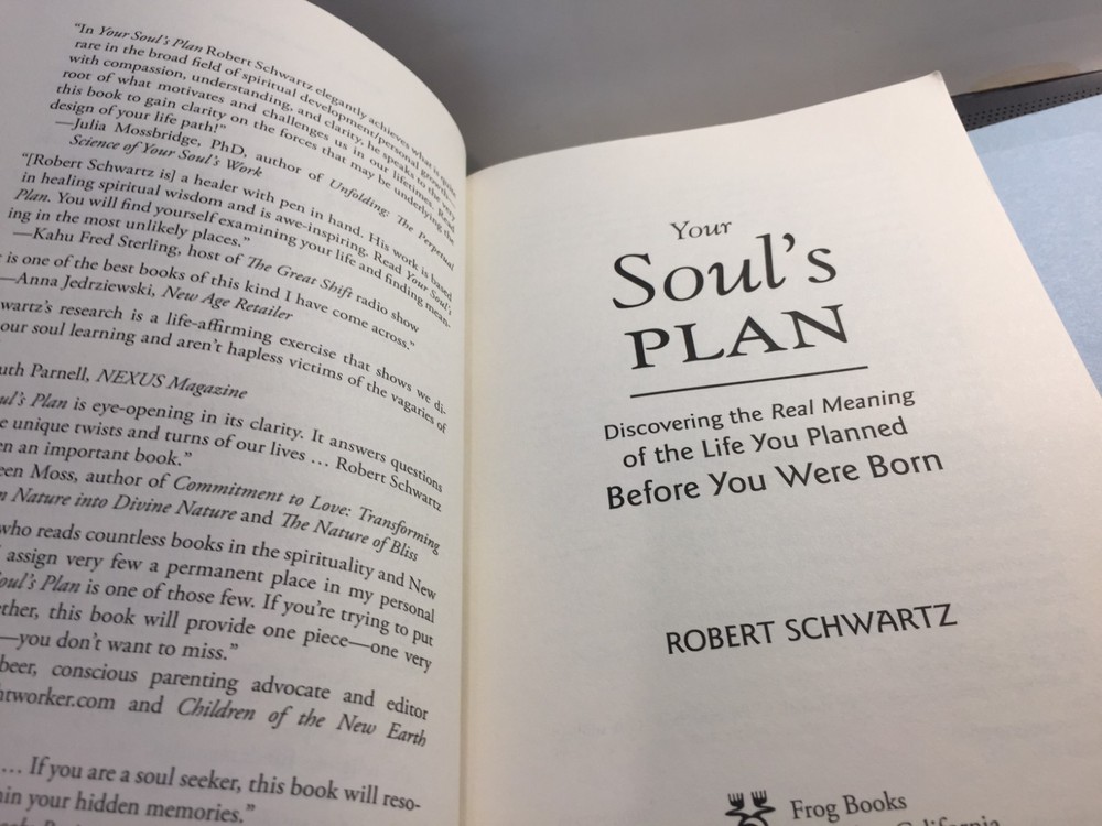 The Soul's Plan by Robert Schwartz