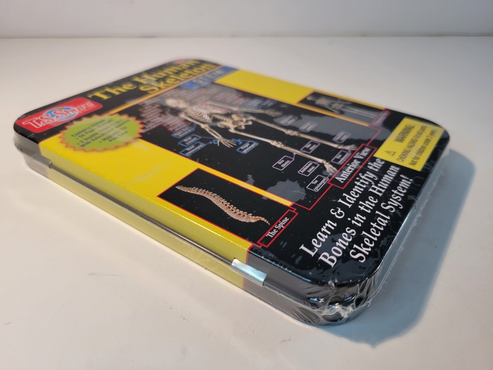 📀 The Human Skeleton- Learn & Identify NEW