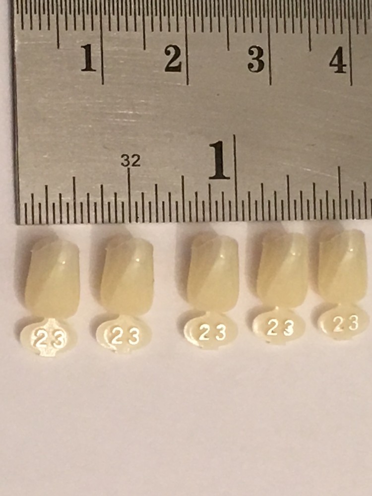 Dental Polycarbonate Temporary Crowns  5 pcs #23