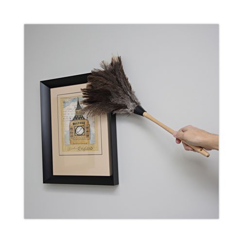 Boardwalk Professional Ostrich Feather Duster, 13" Wood Handle