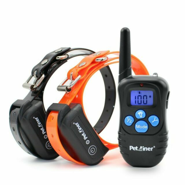 Petrainer Shock E-Collar for Dogs - PET998DBB2