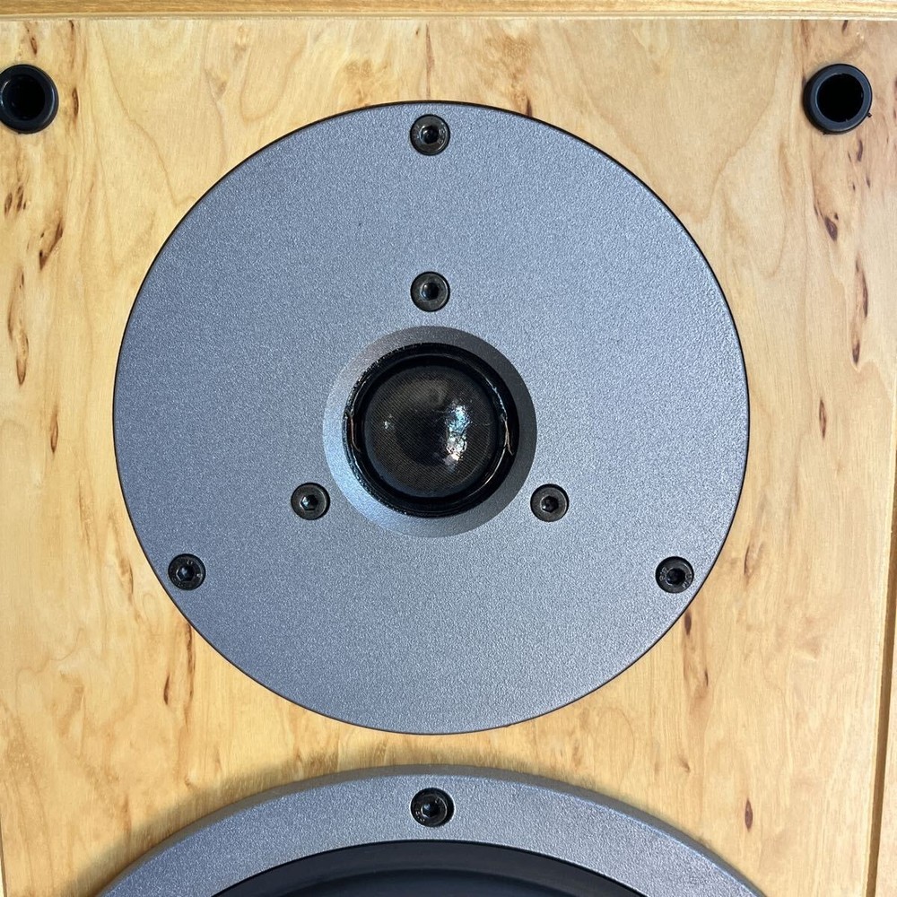 DYNAUDIO SP25 speakers