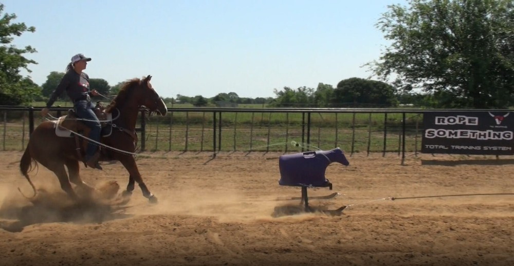Something Calf - Calf Roping Dummy - Breakaway