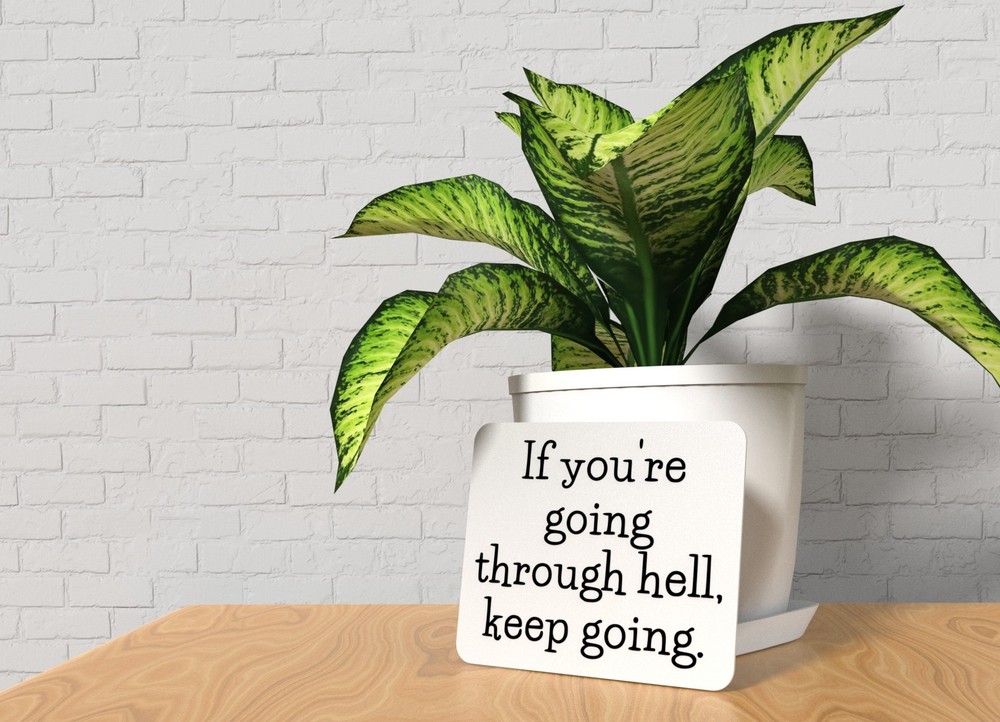 If You're going Through Hell Keep Going | Funny sign For Home or Office