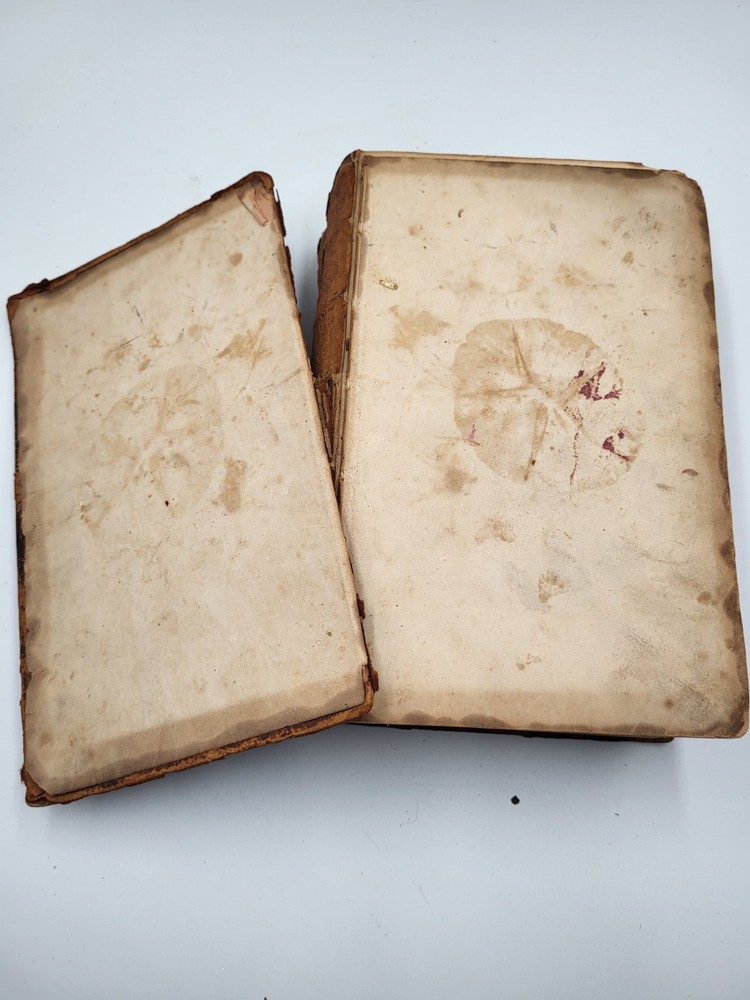 vintage bible