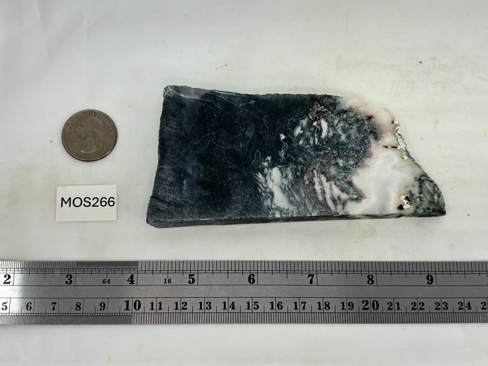 Semi-translucent Moss Agate Slab Cabbing Lapidary Carving Combo Ship Avail