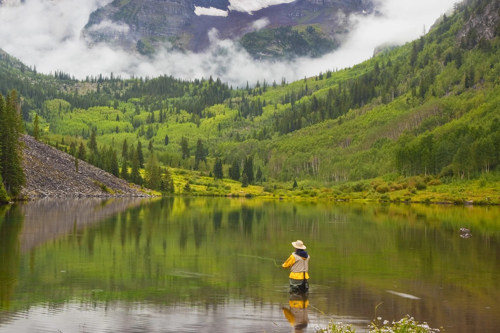 3 Pack Goddard Caddis Black Dry Fly - Hook Size 16