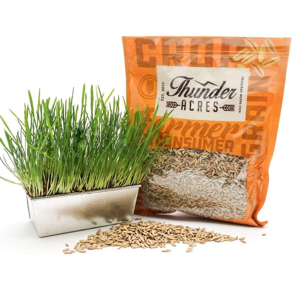 Non GMO, Certified Organic, Oat (2 lb.)