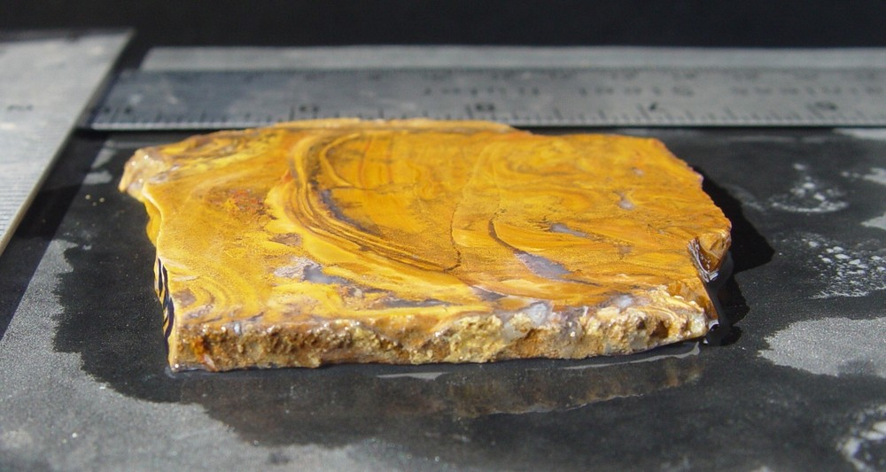 Roostertail Agate Lapidary Slab 1342