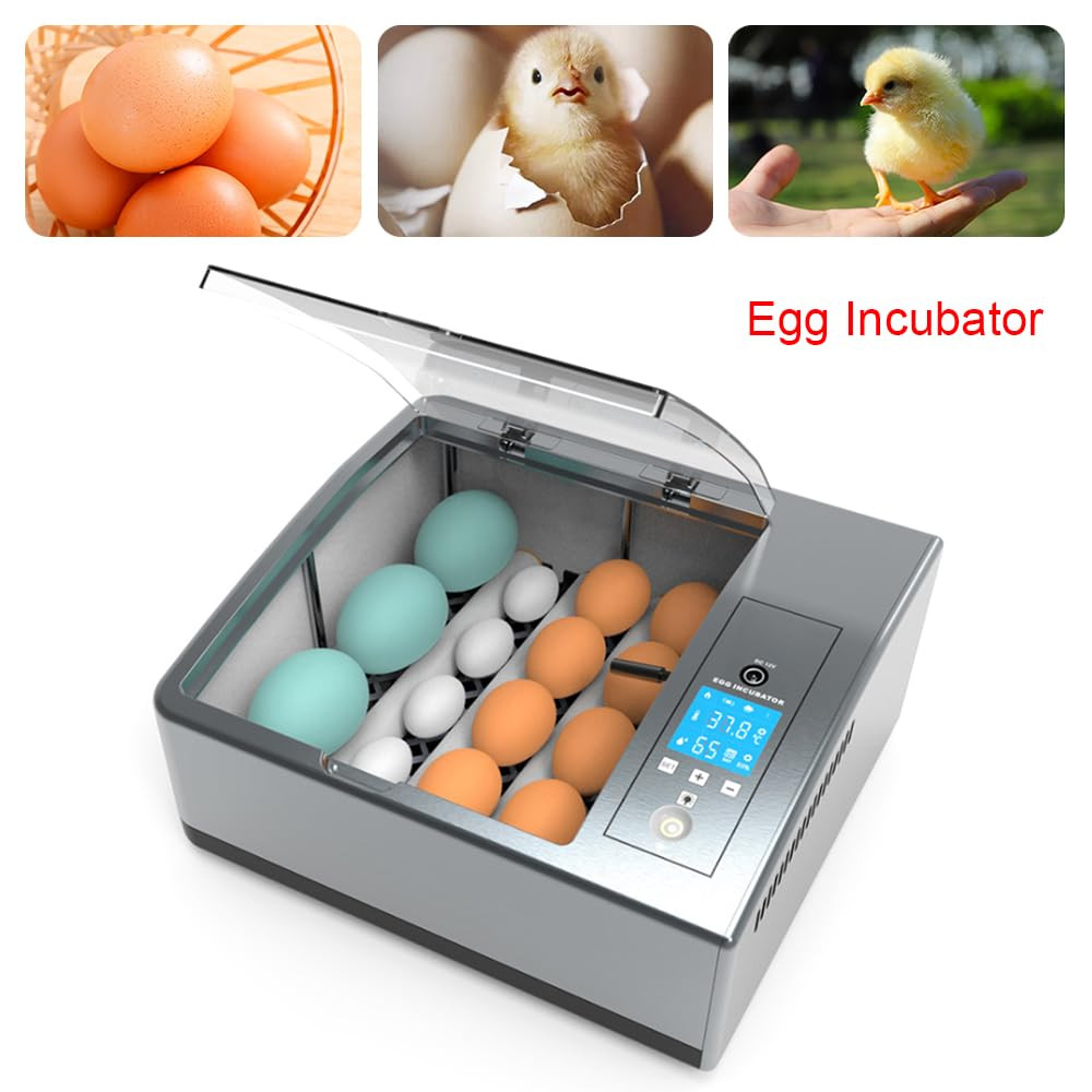 16 Chicken Egg Incubator,Mini Automatic Temperature Incubator, Fully Digital Hat