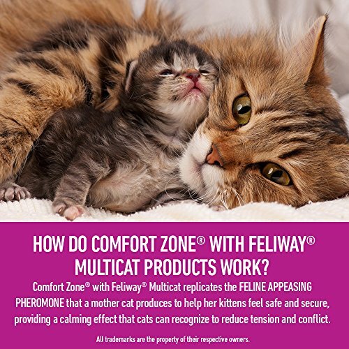 Calming Diffuser Kit for Multicat Conflict & Tension by Comfort Zone - Plastic