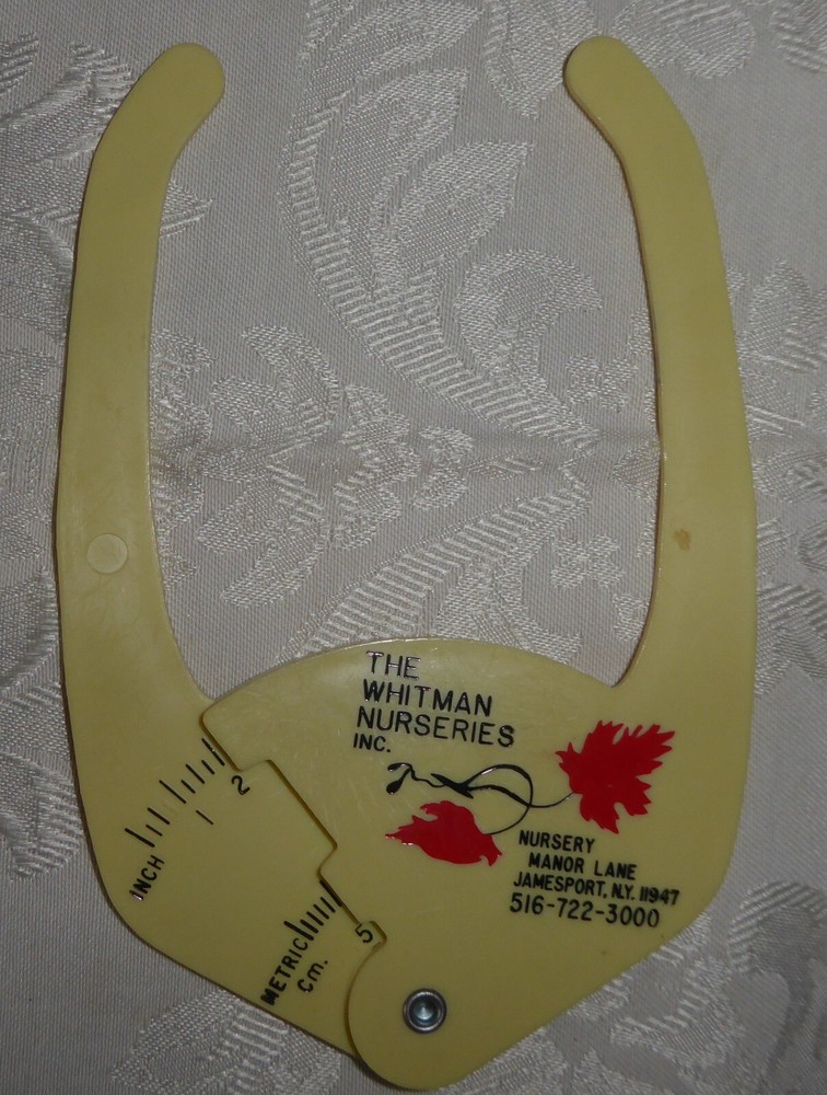 Vintage Caliper - Whitman Nurseries