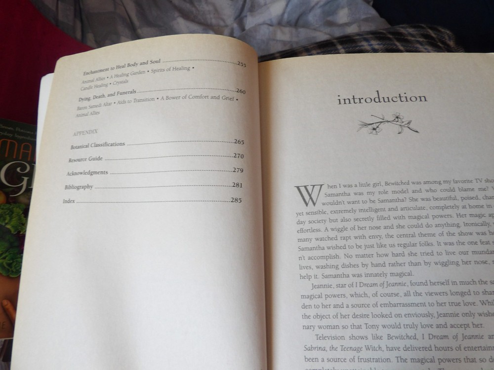 Pure Magic Book : A Complete Course in Spellcasting by Judika Illes