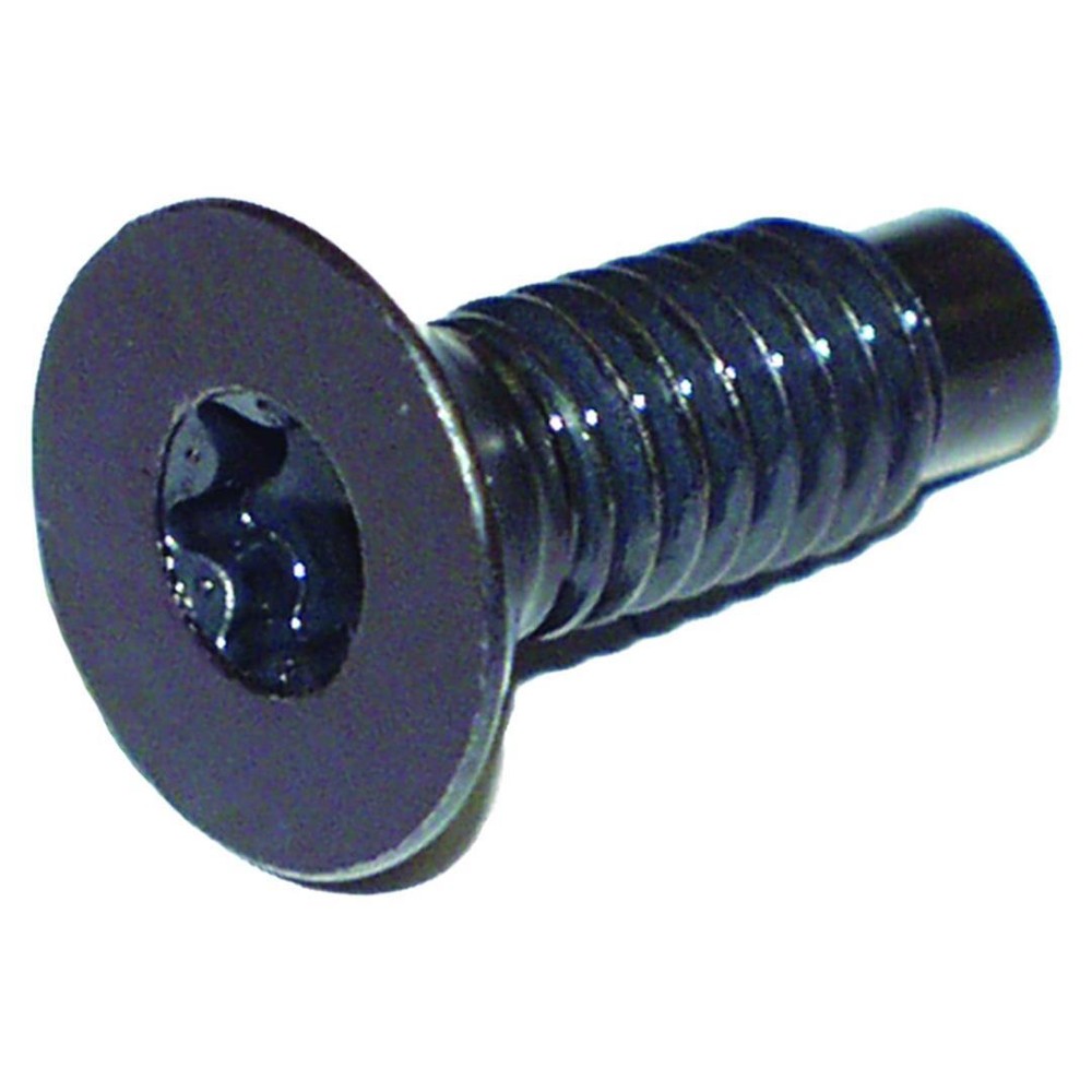 CROWN AUTO TORX SCREW- 6035757