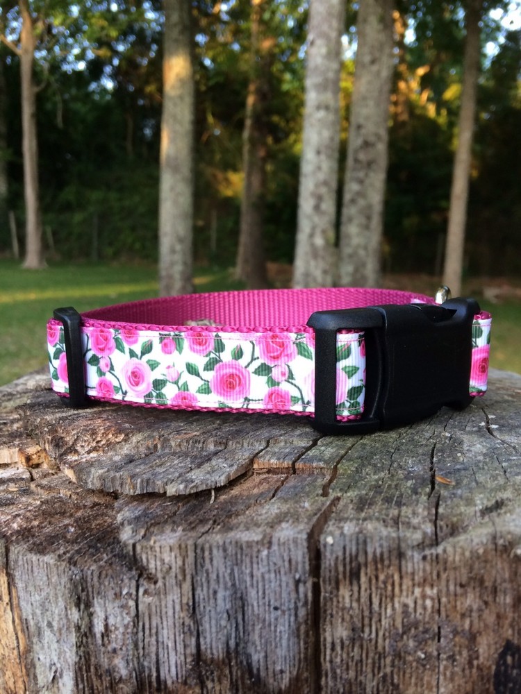 Pink Roses Dog Collar